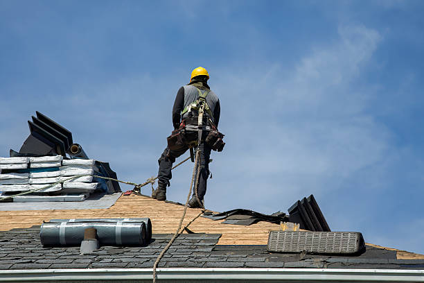 Professional Flat Roof Repair technician working in Lake George, CO